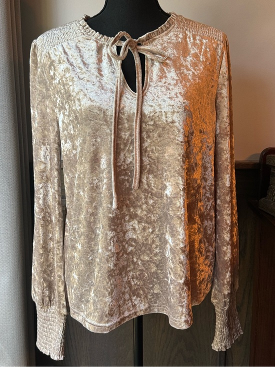 Mystree Tops - Mystree Taupe Crushed Velvet Tie-Neck Long Sleeve Top